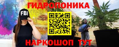 мет Кингисепп