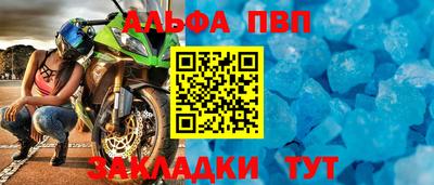 мет Кингисепп