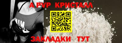 мет Кингисепп